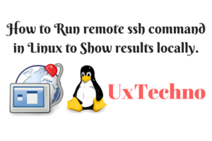 Run remote ssh command in Linux
