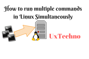 run multiple commands in Linux