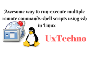 run-execute multiple remote commands-shell scripts using ssh