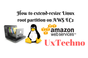 extend Linux root partition on AWS EC2