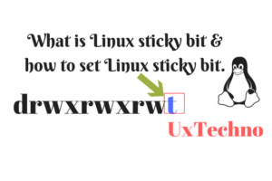 Linux sticky bit